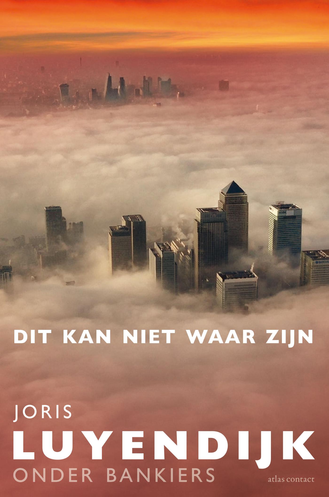 Omslag van Dit kan niet waar zijn