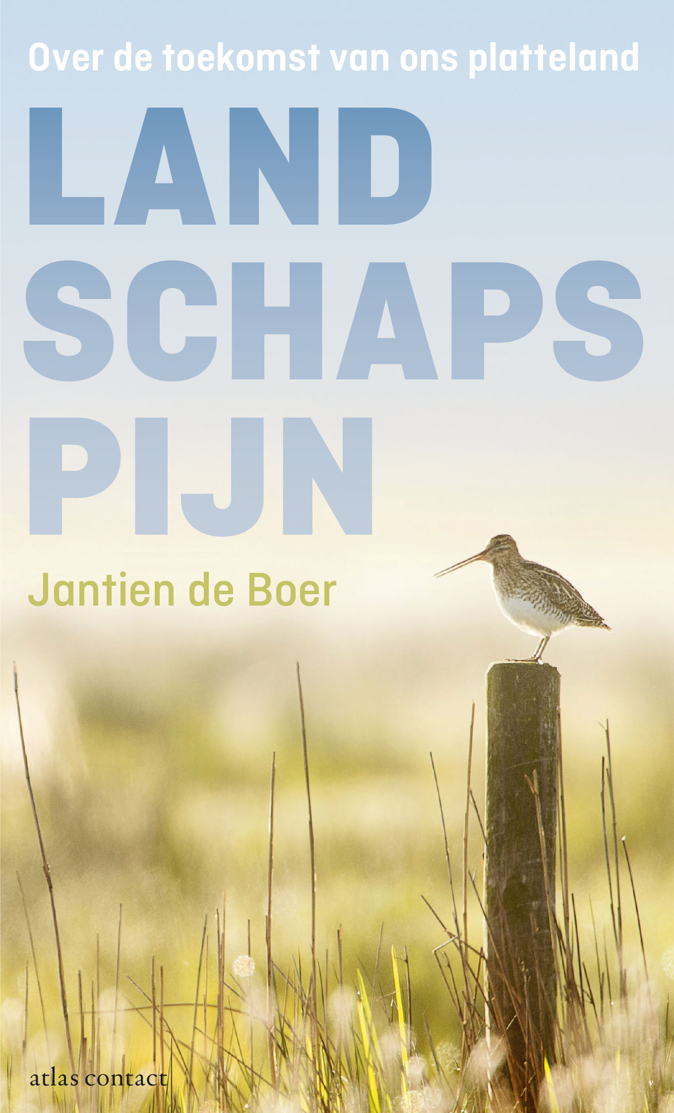 Omslag van Landschapspijn