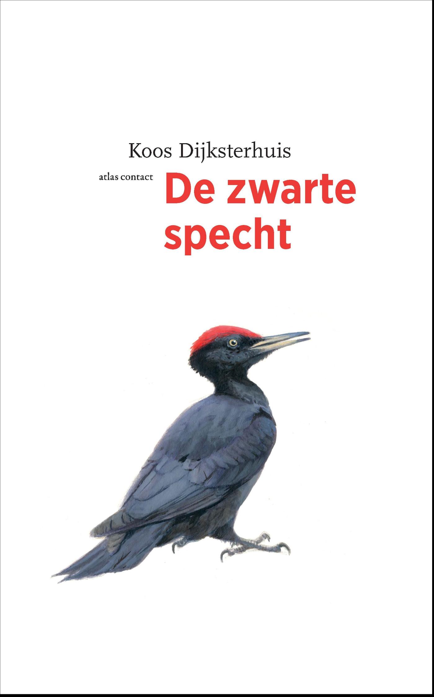 Omslag van De zwarte specht
