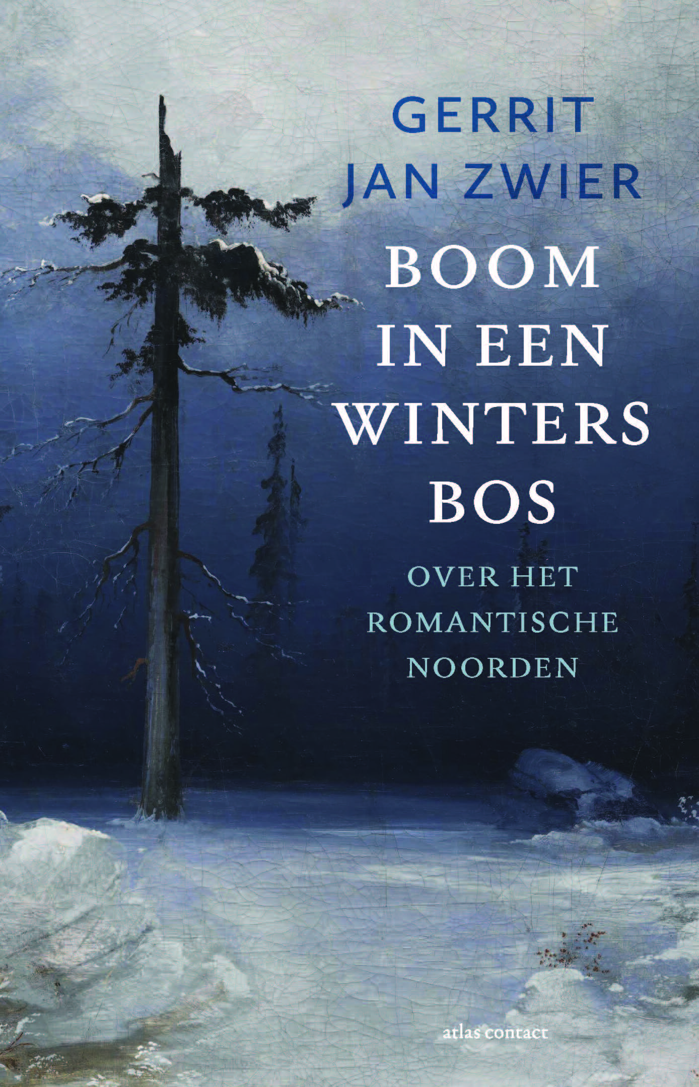 Omslag van Boom in een winters bos