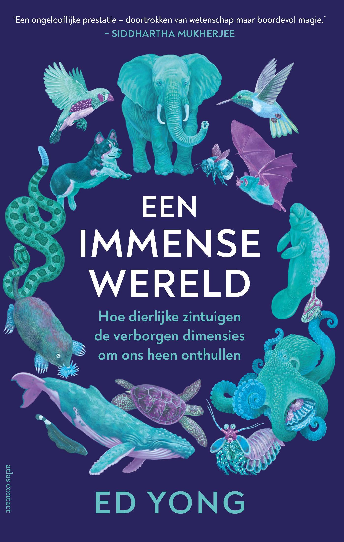 Omslag van Een Immense wereld
