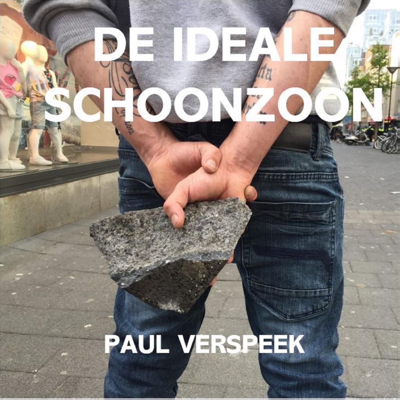 Omslag van De ideale schoonzoon
