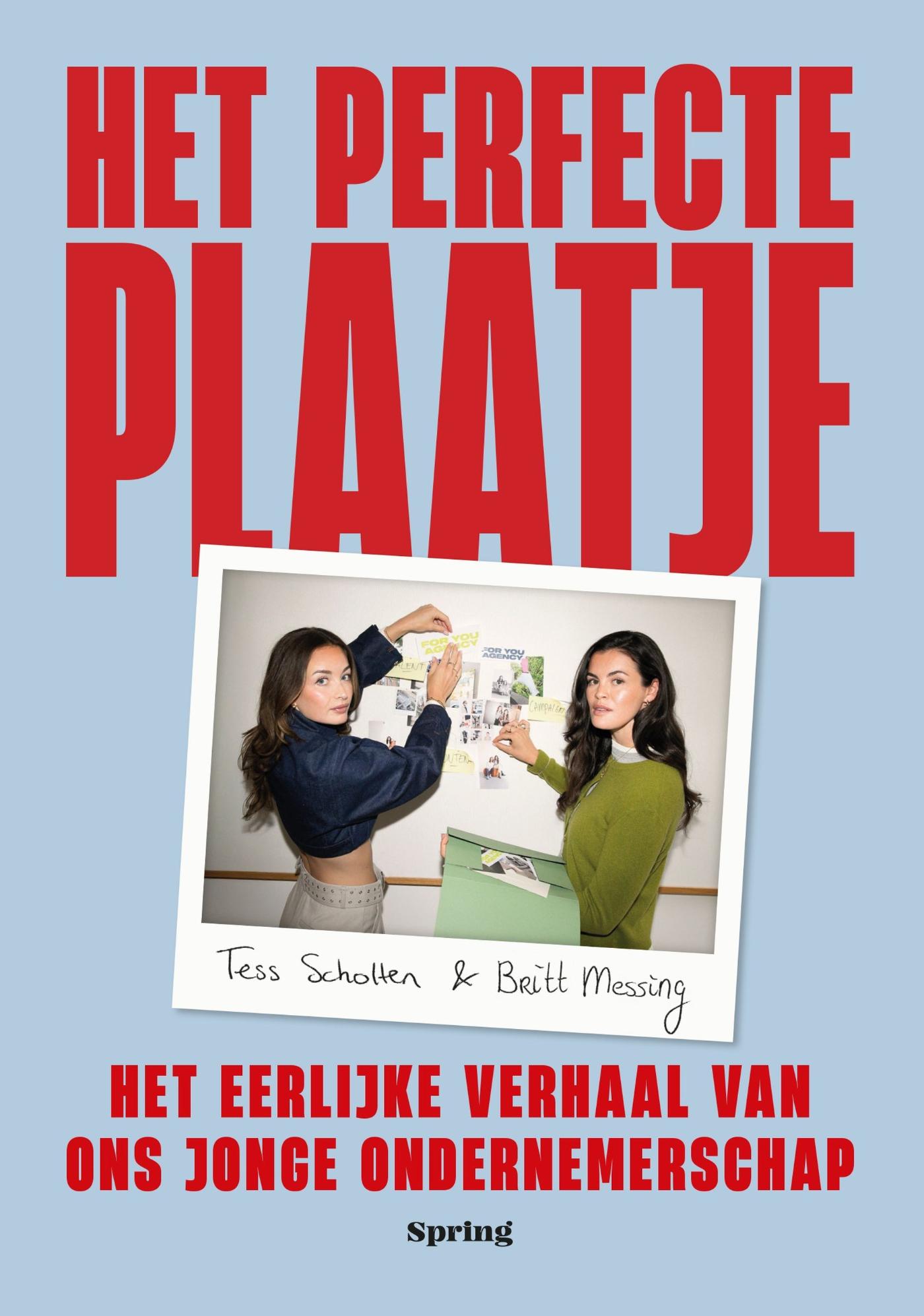 Omslag van Het perfecte plaatje