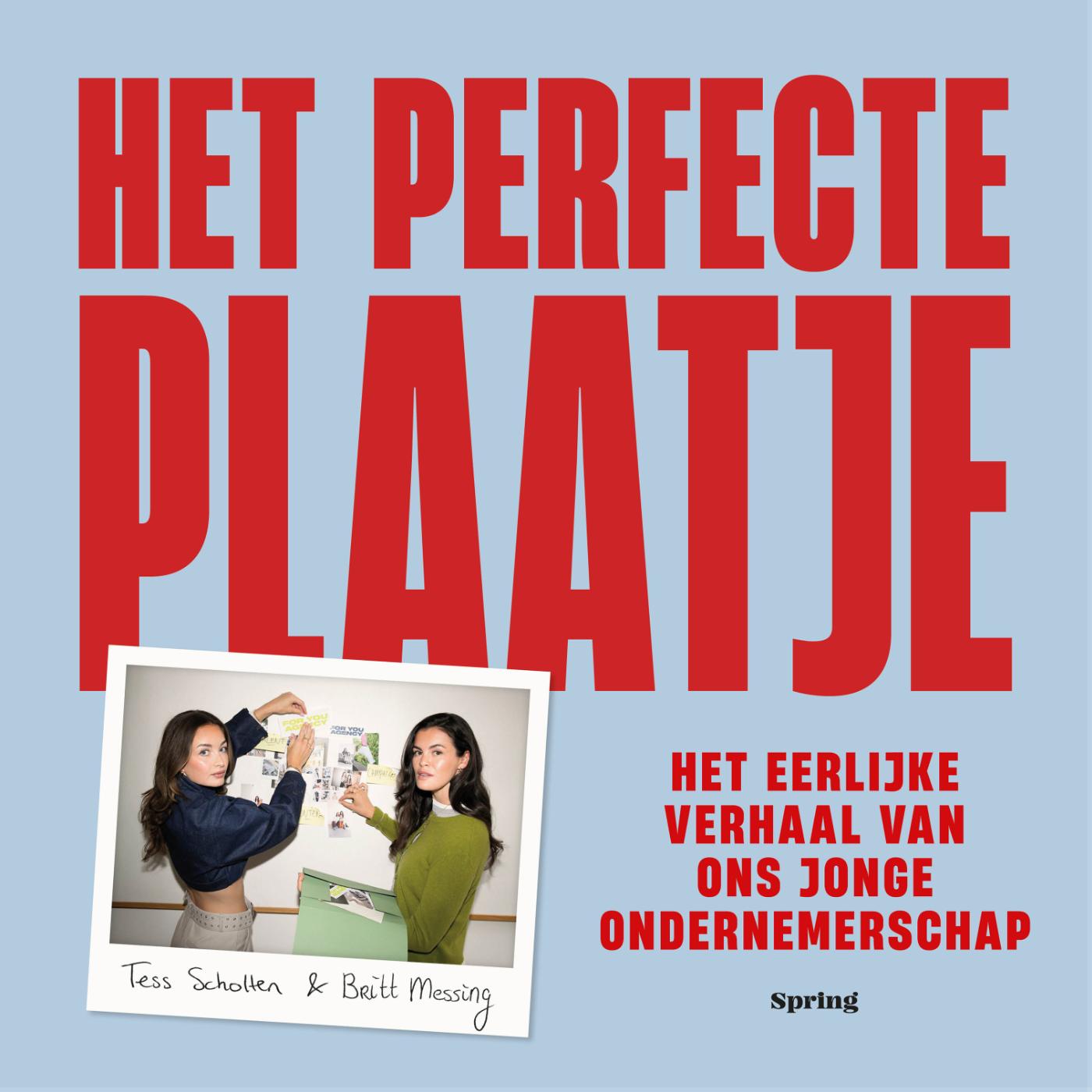 Omslag van Het perfecte plaatje