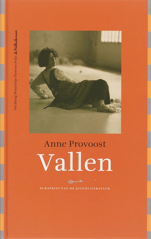 Omslag van Vallen
