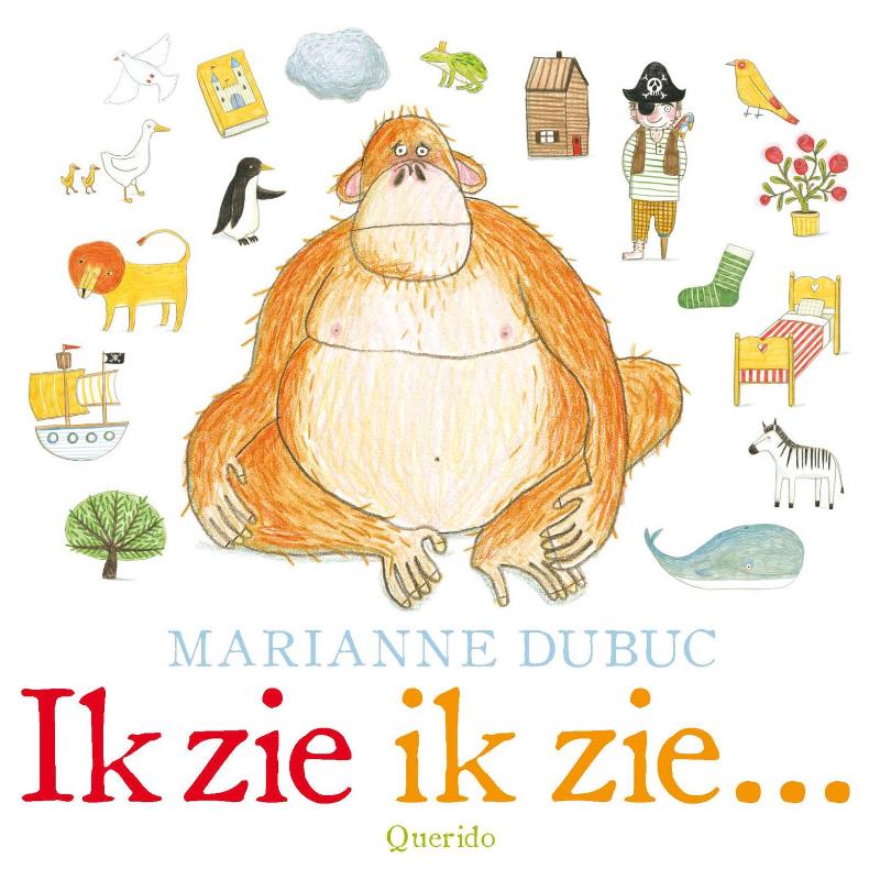Omslag van Ik zie ik zie...