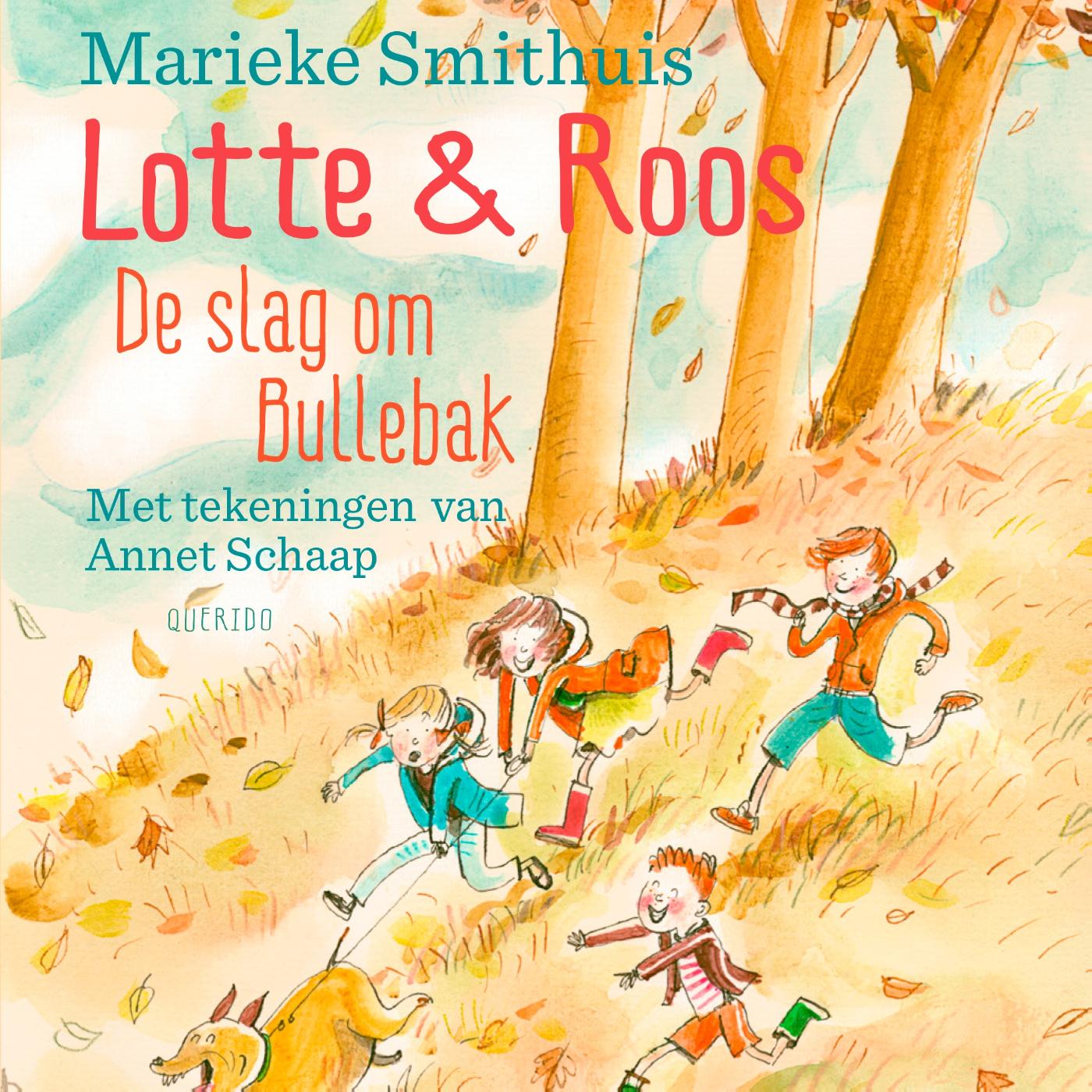Omslag van De slag om Bullebak