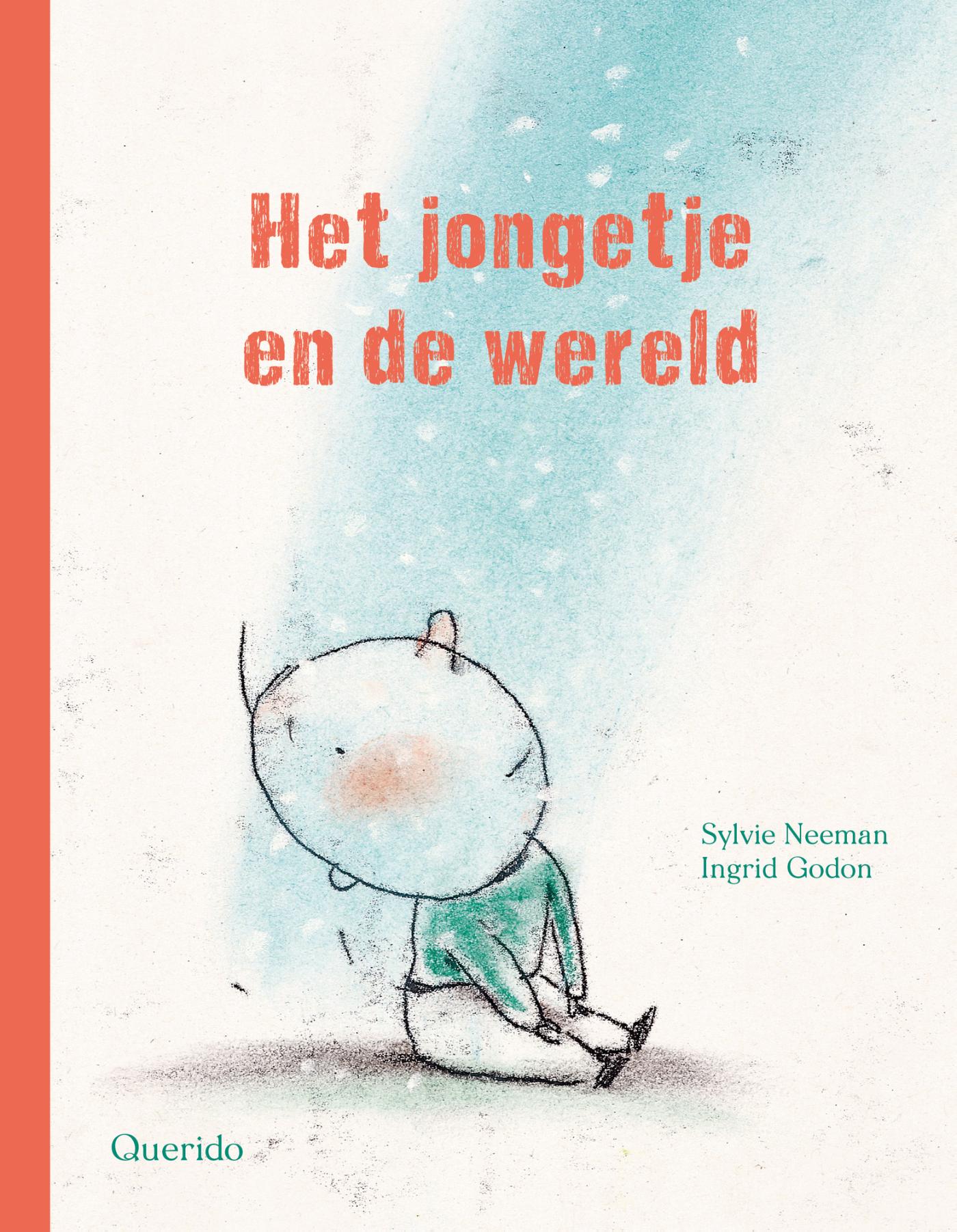 Omslag van Het jongetje en de wereld