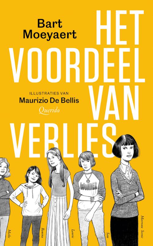 Omslag van Het voordeel van verlies