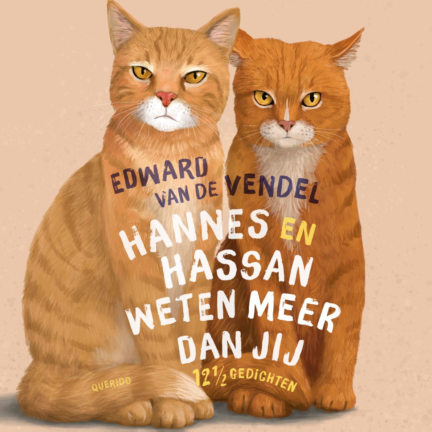 Omslag van Hannes en Hassan weten meer dan jij