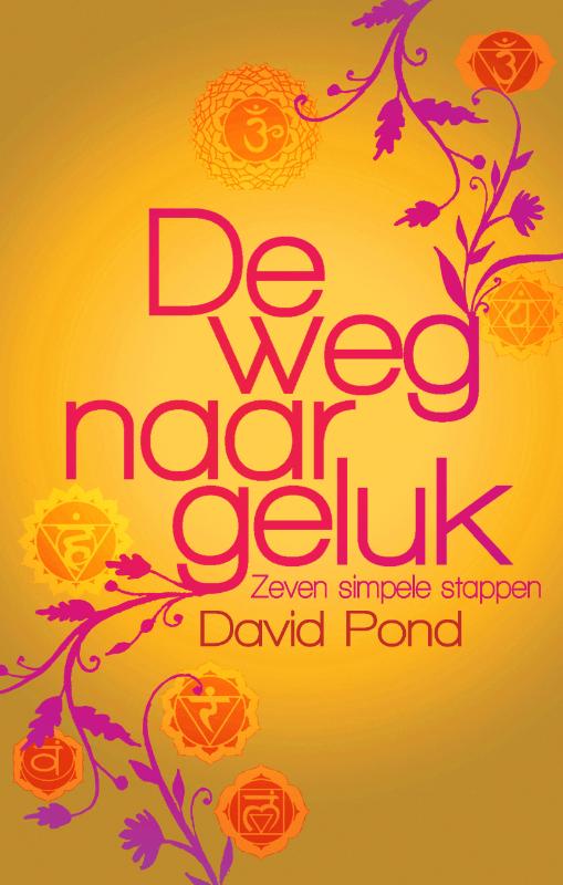 Omslag van De weg naar geluk
