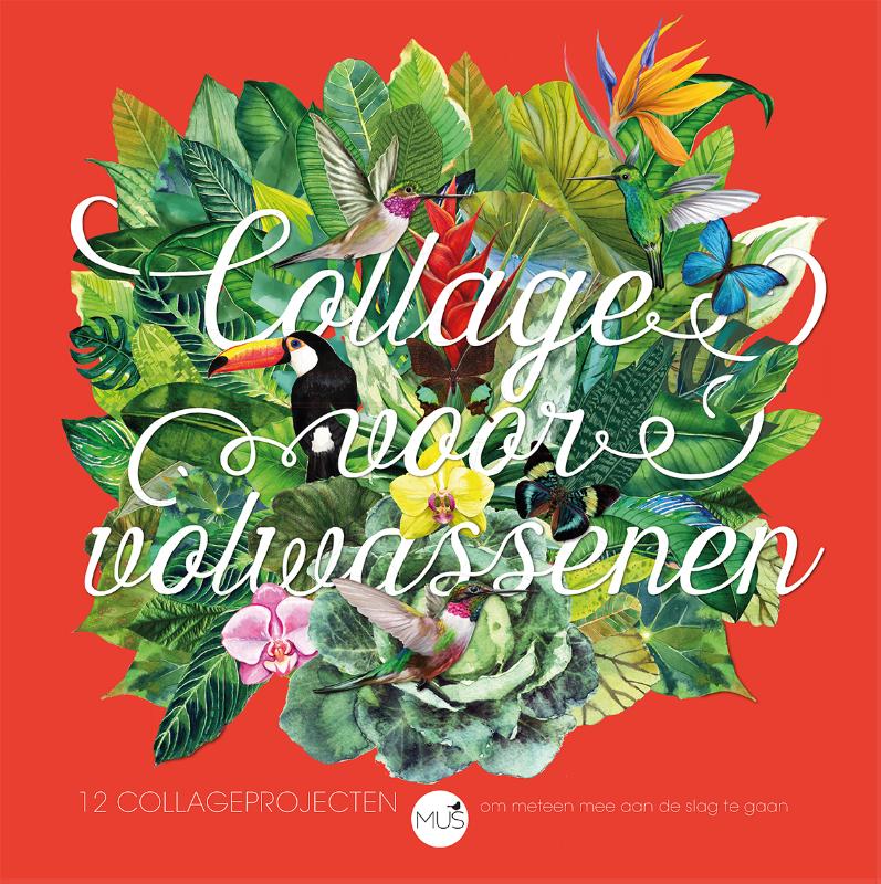 Omslag van Collage voor volwassenen