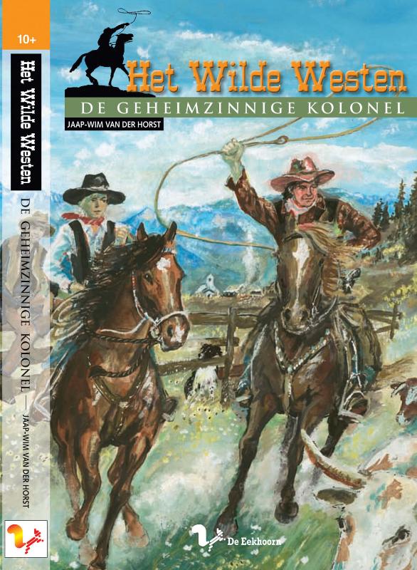 Omslag van De geheimzinnige kolonel