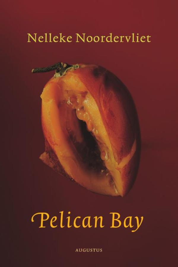 Omslag van Pelican bay