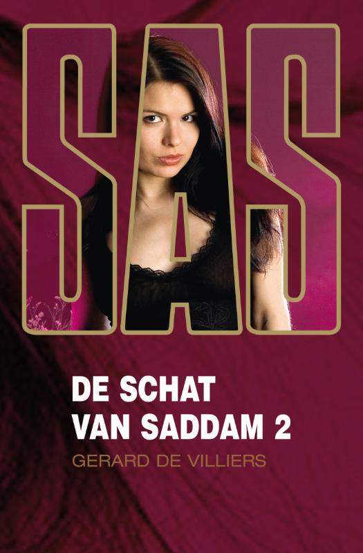 Omslag van De schat van Saddam