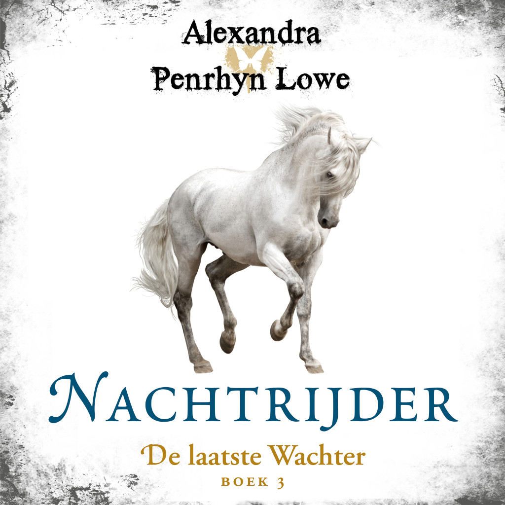 Omslag van Nachtrijder