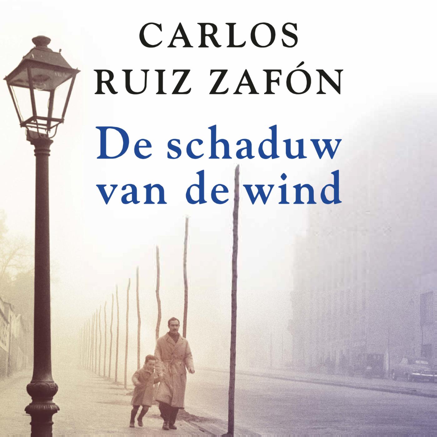 Omslag van De schaduw van de wind