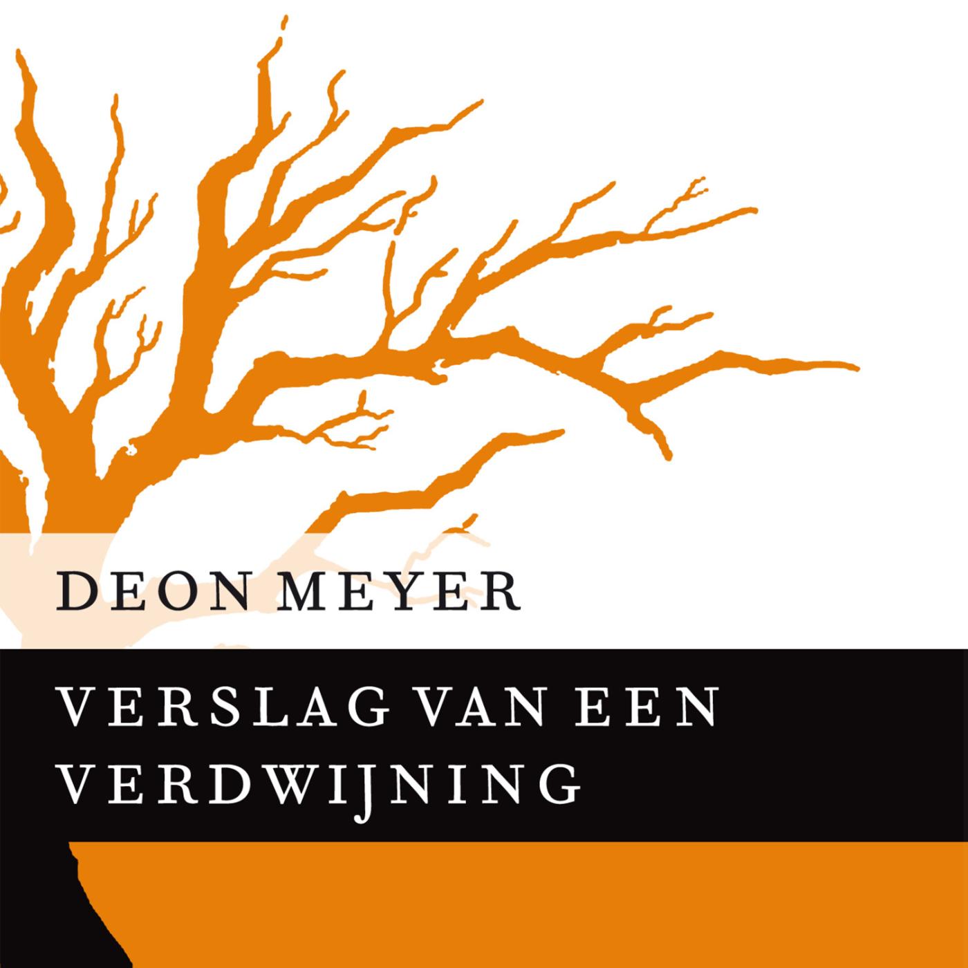 Omslag van Verslag van een verdwijning