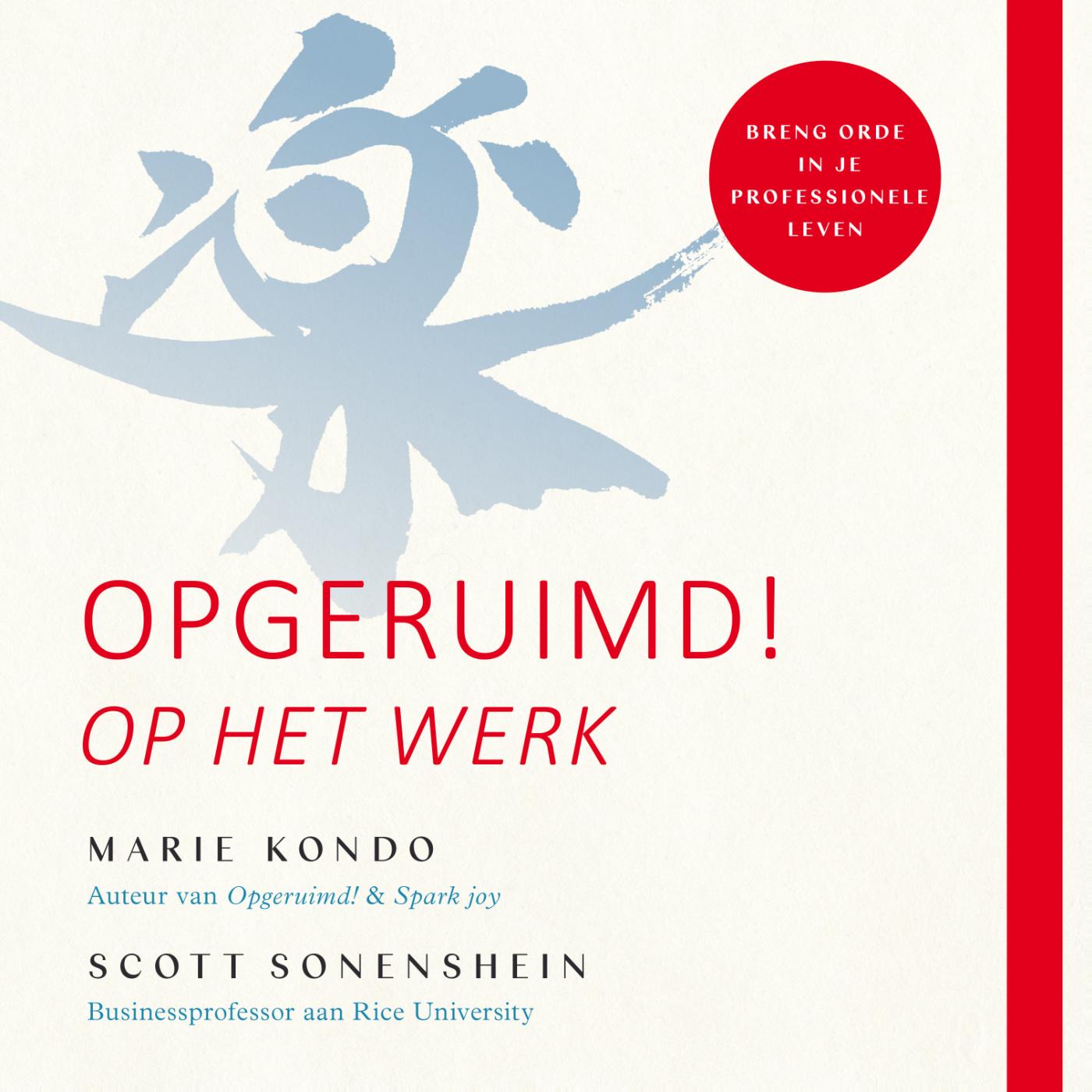 Omslag van Opgeruimd! Op het werk
