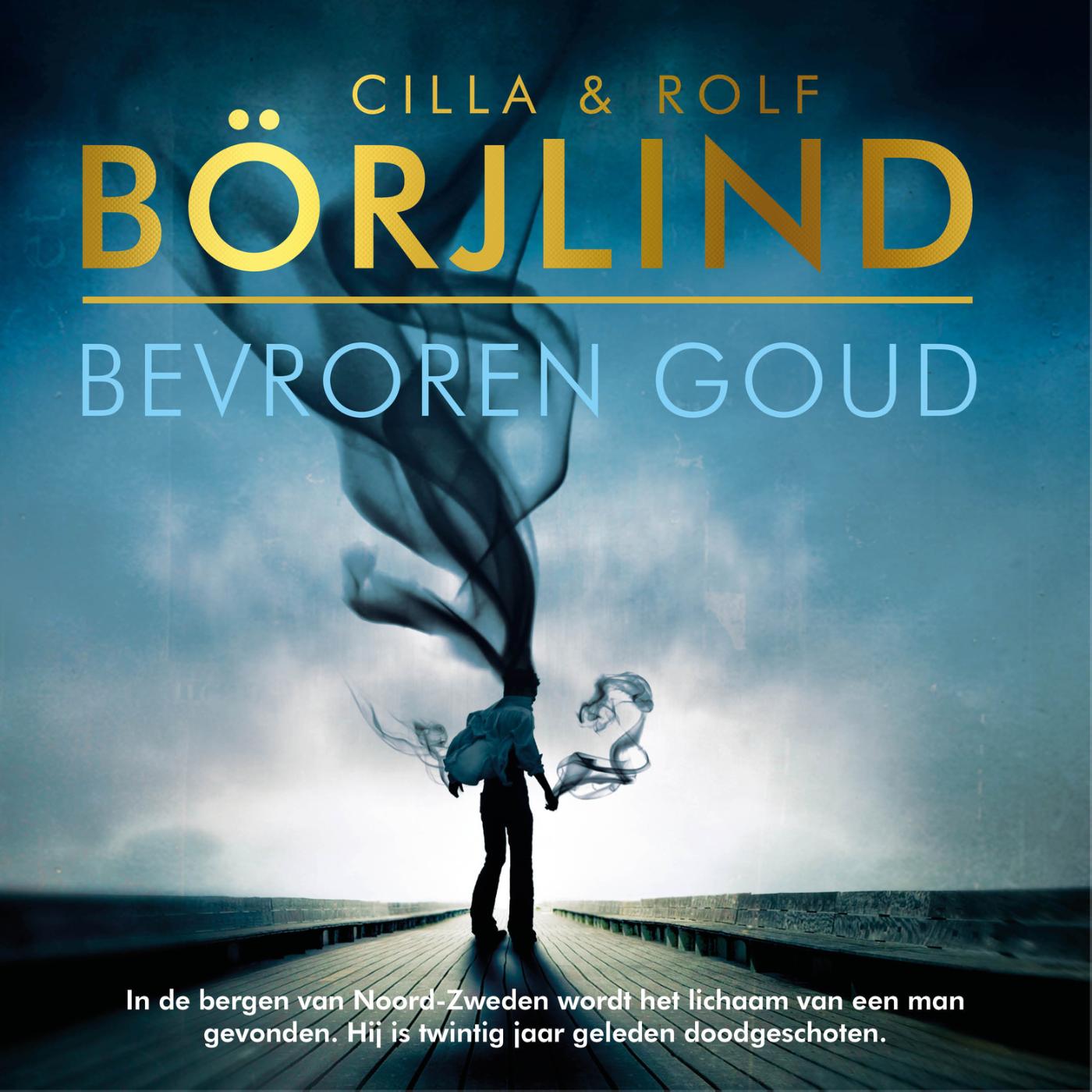 Omslag van Bevroren goud