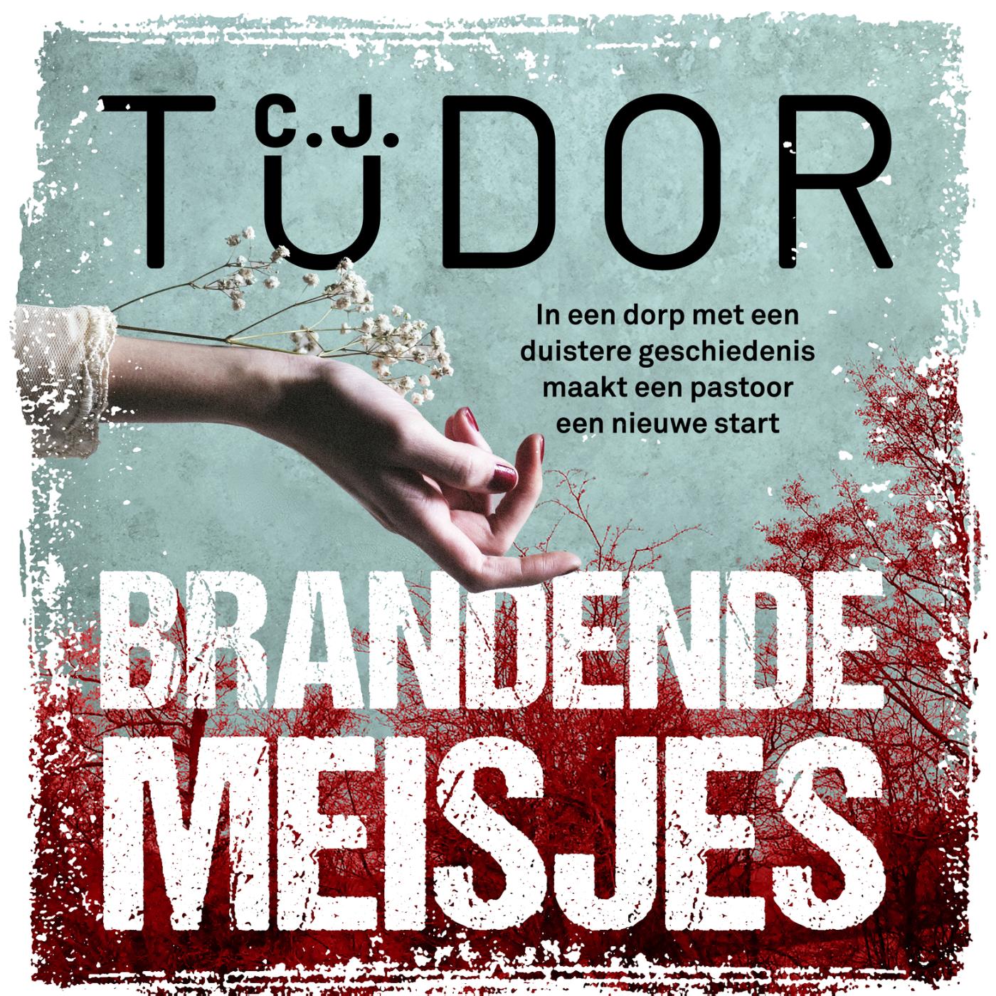 Omslag van Brandende meisjes