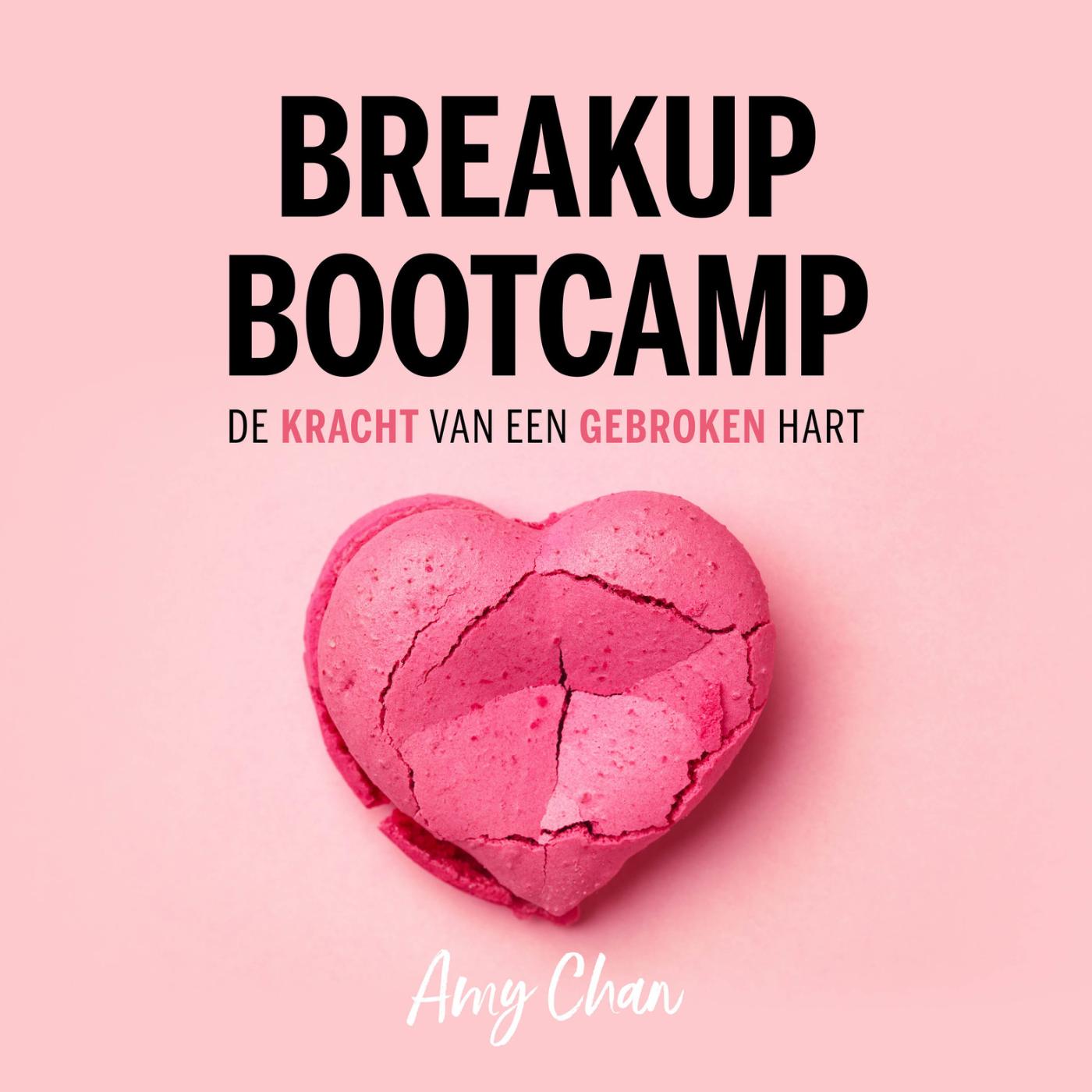 Omslag van Breakup Bootcamp