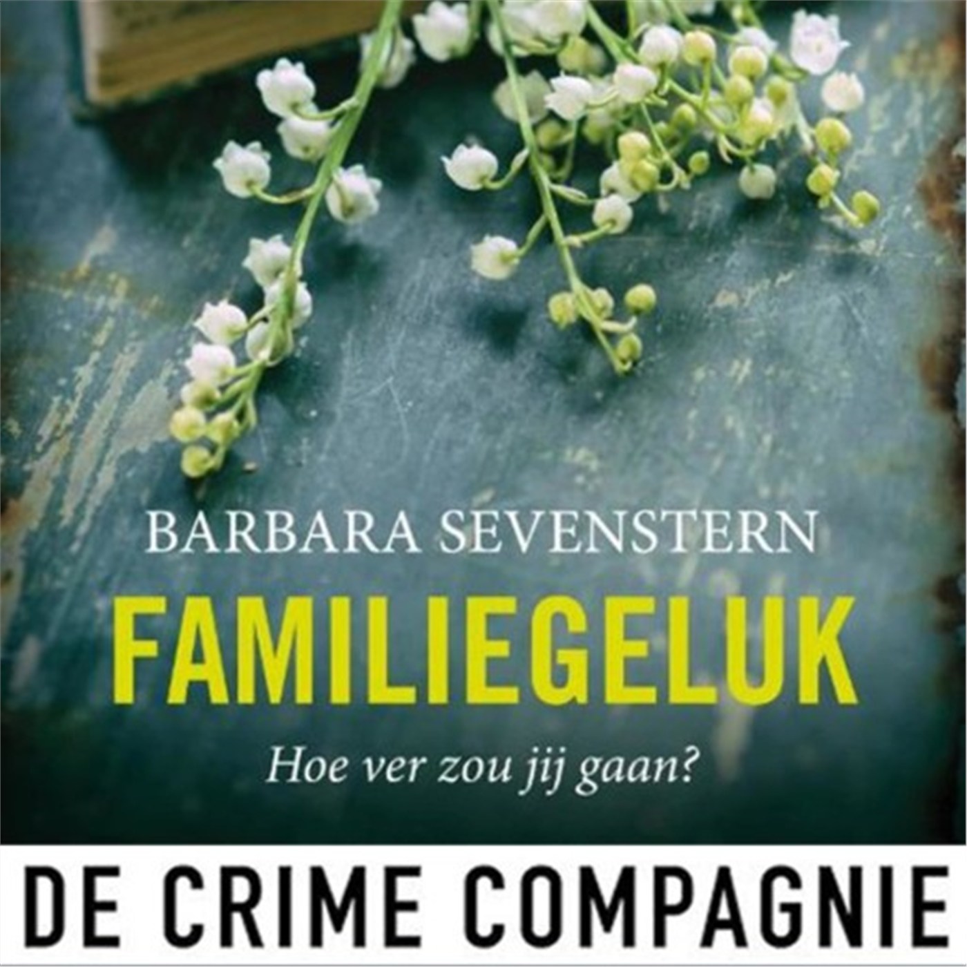 Omslag van Familiegeluk