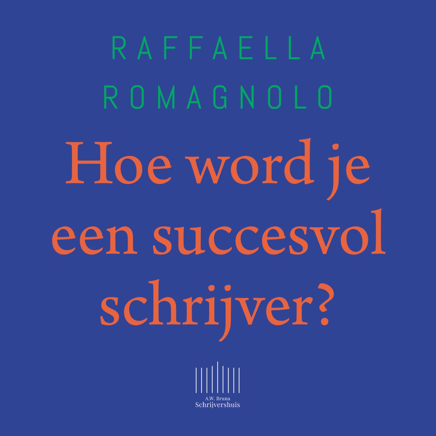 Omslag van Hoe word je een succesvol schrijver?