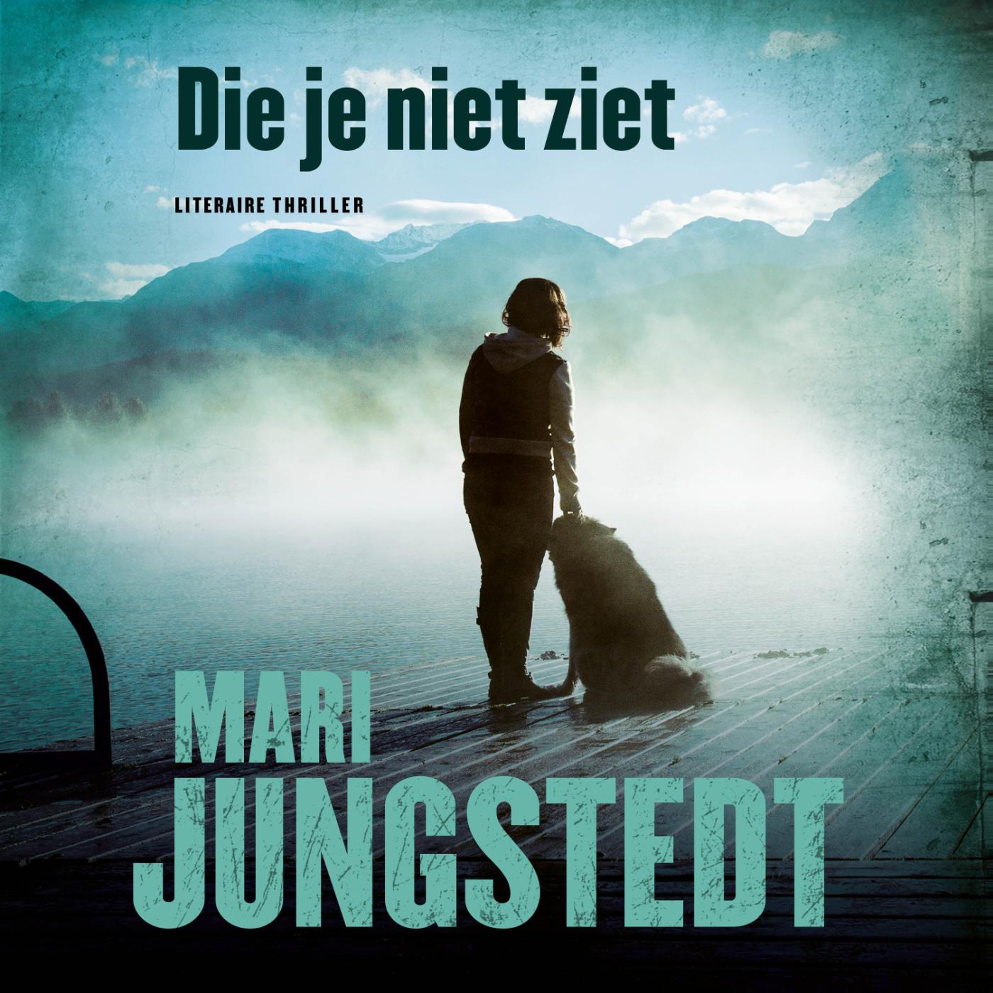 Omslag van Die je niet ziet
