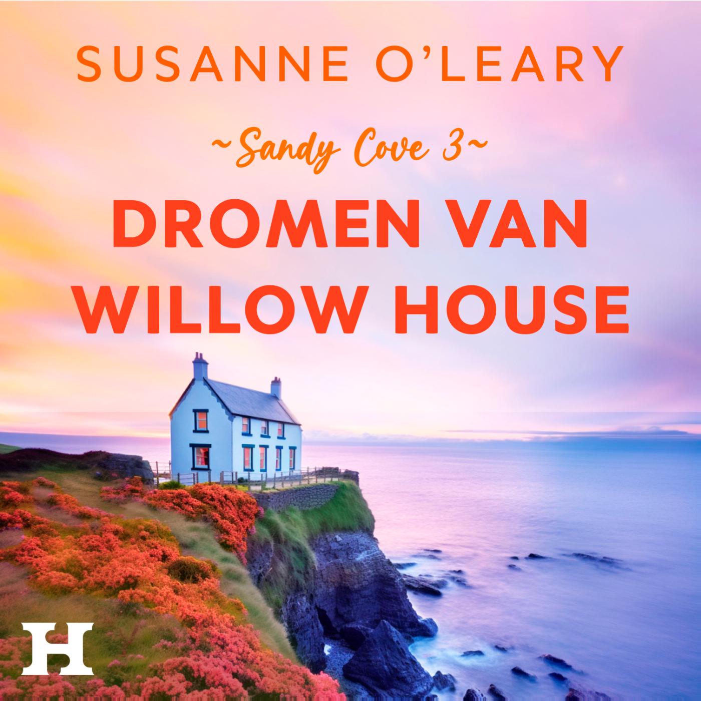 Omslag van Dromen van Willow House