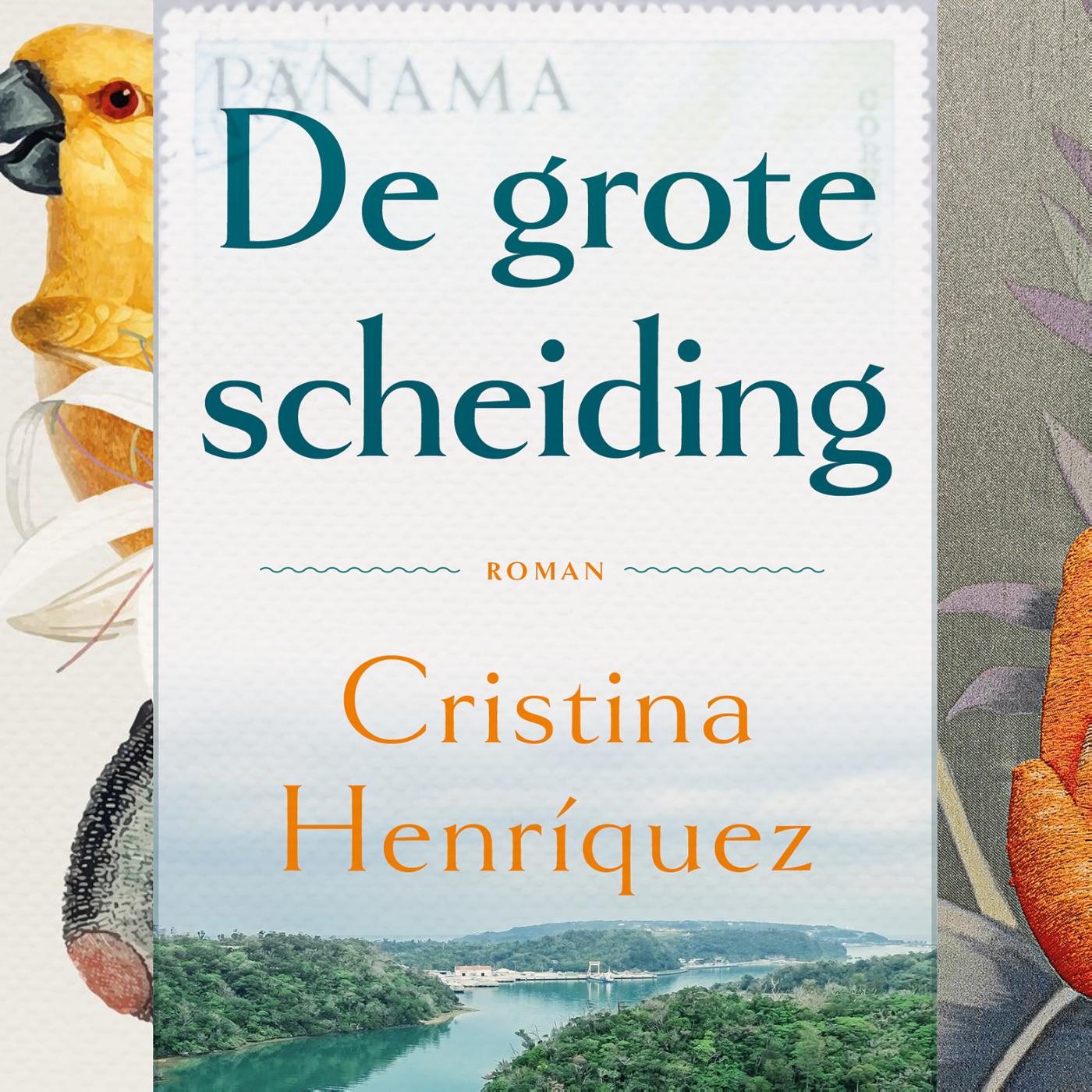 Omslag van De grote scheiding