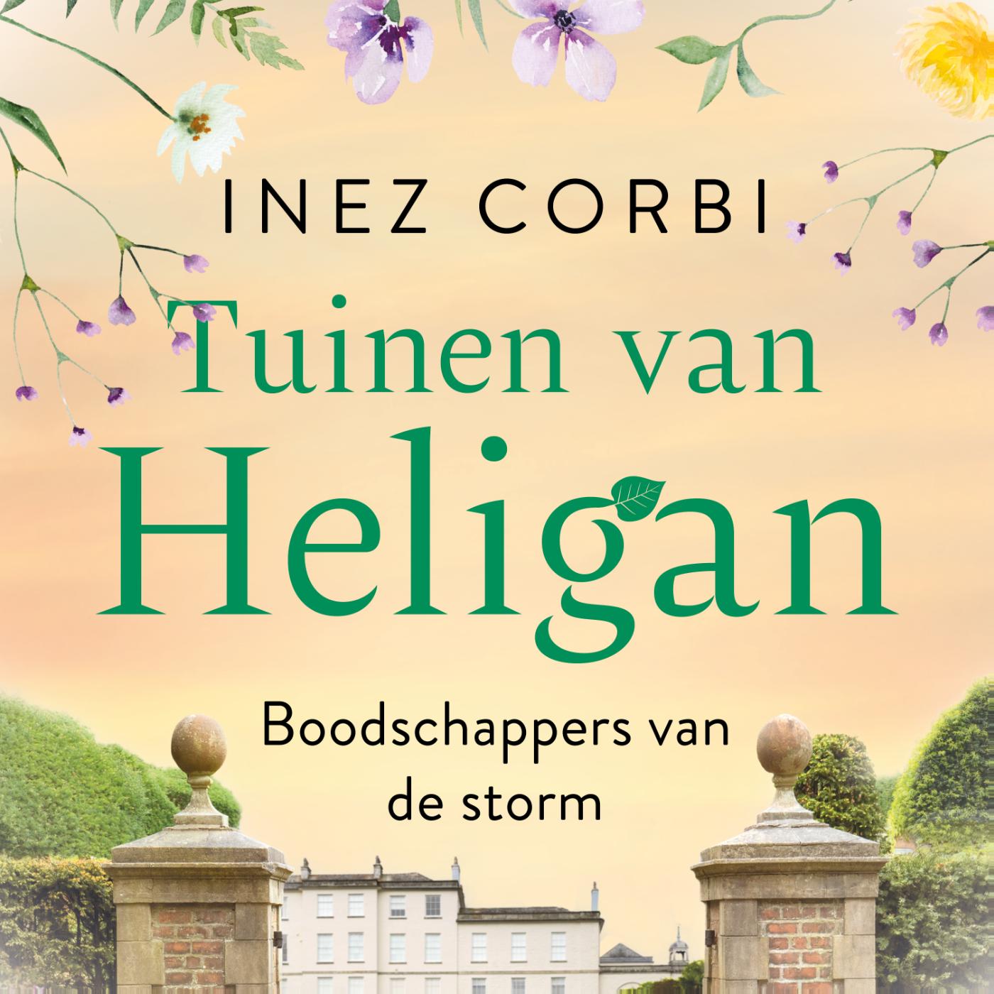 Omslag van Boodschappers van de storm
