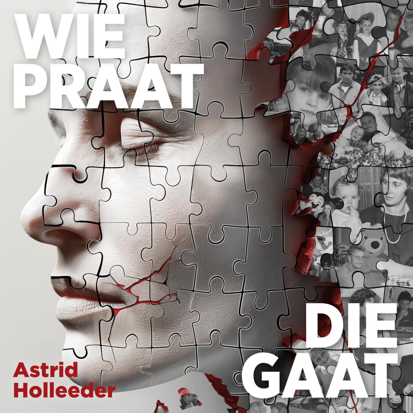 Omslag van Wie praat, die gaat