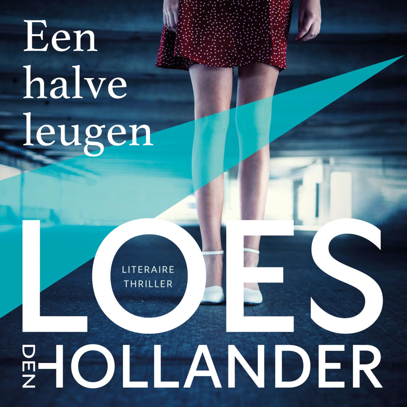 Omslag van Een halve leugen