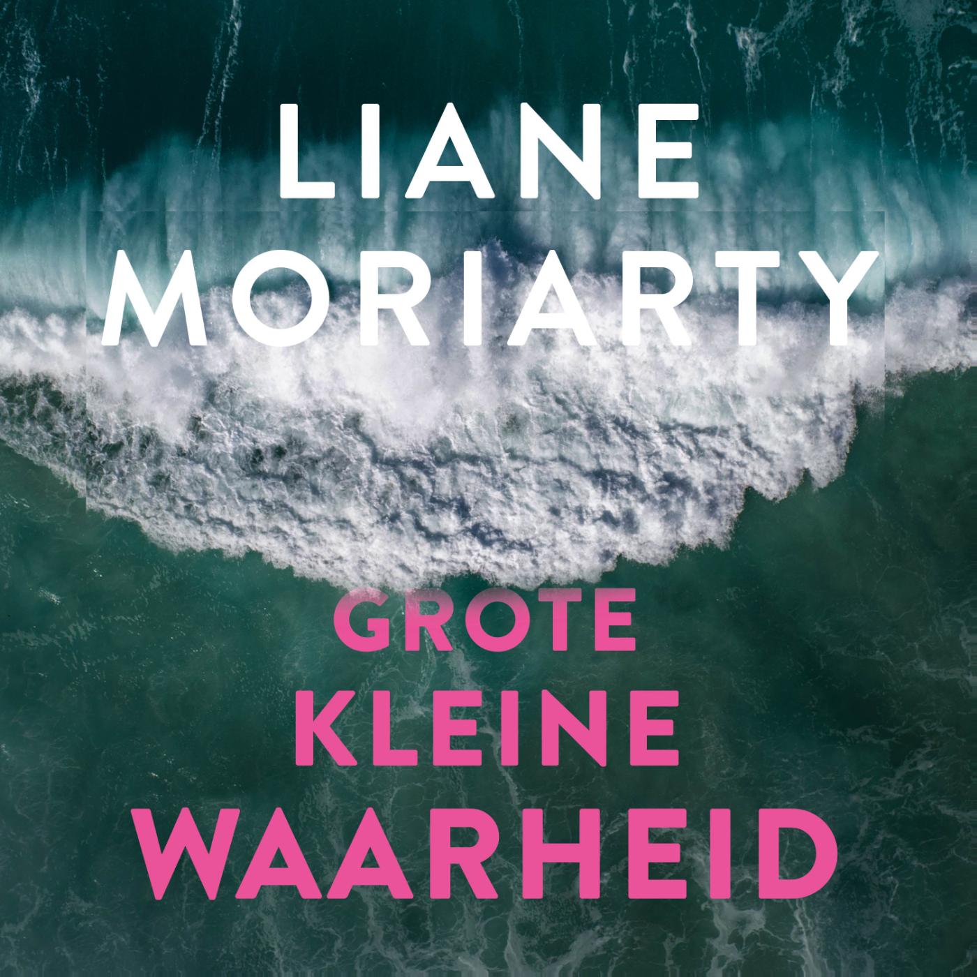 Omslag van Grote kleine waarheid
