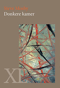 Omslag van Donkere kamer