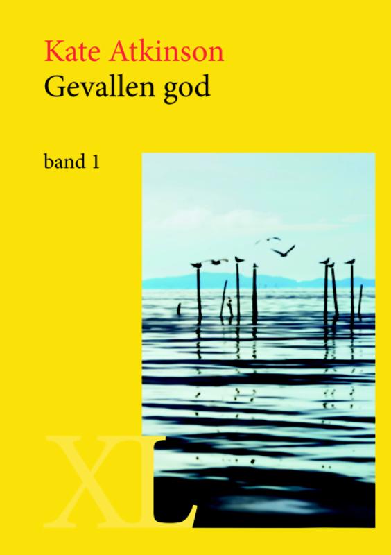 Omslag van Gevallen god