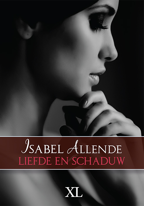 Omslag van Liefde en schaduw