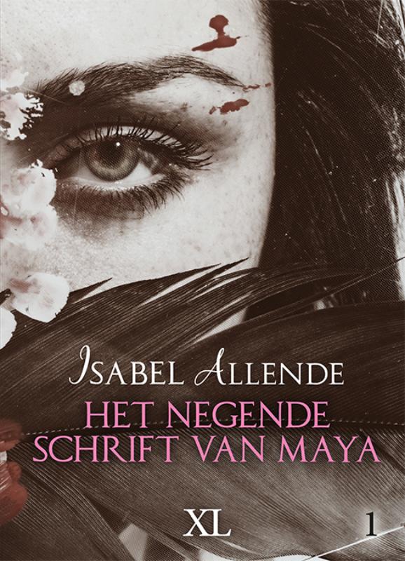 Omslag van Het negende schrift van Maya - grote letter uitgave