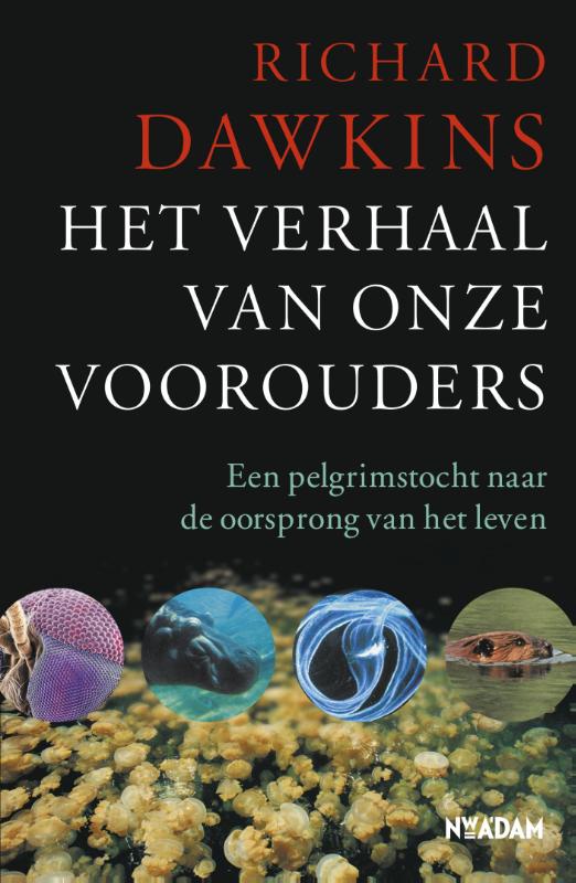 Omslag van Het verhaal van onze voorouders