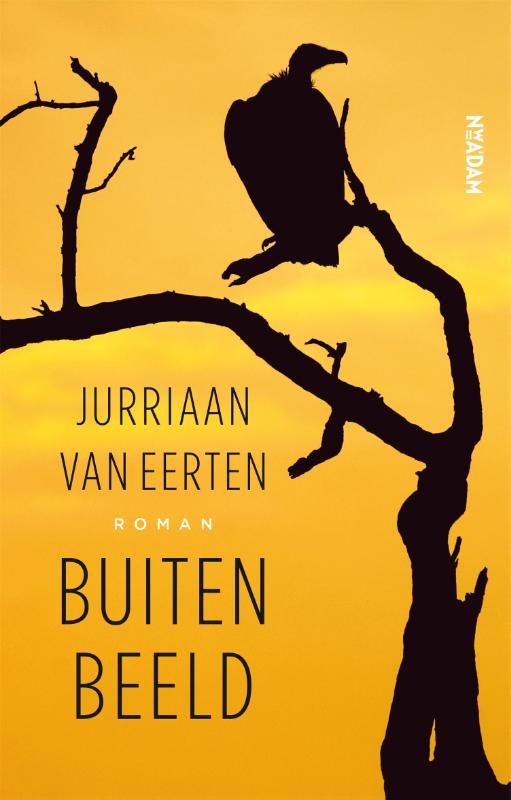 Omslag van Buiten beeld