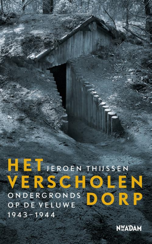 Omslag van Het verscholen dorp