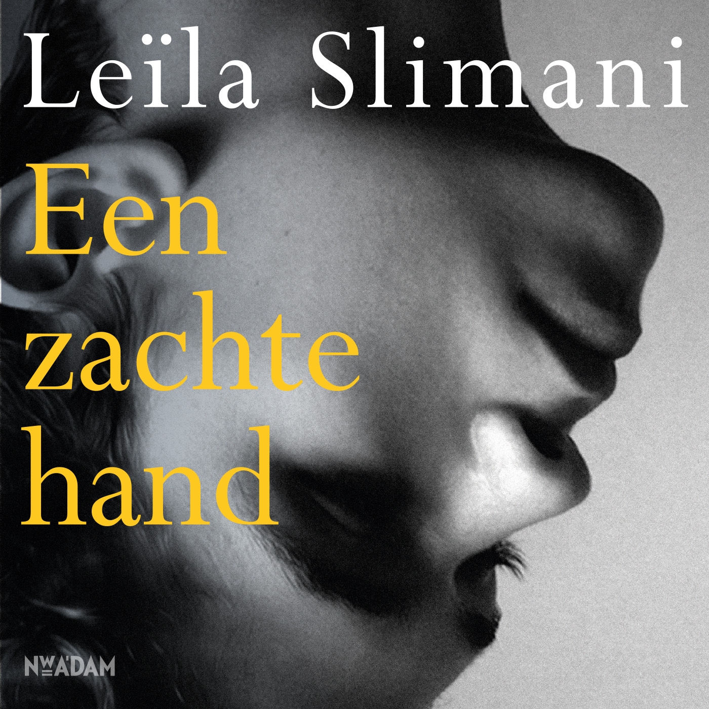 Omslag van Een zachte hand