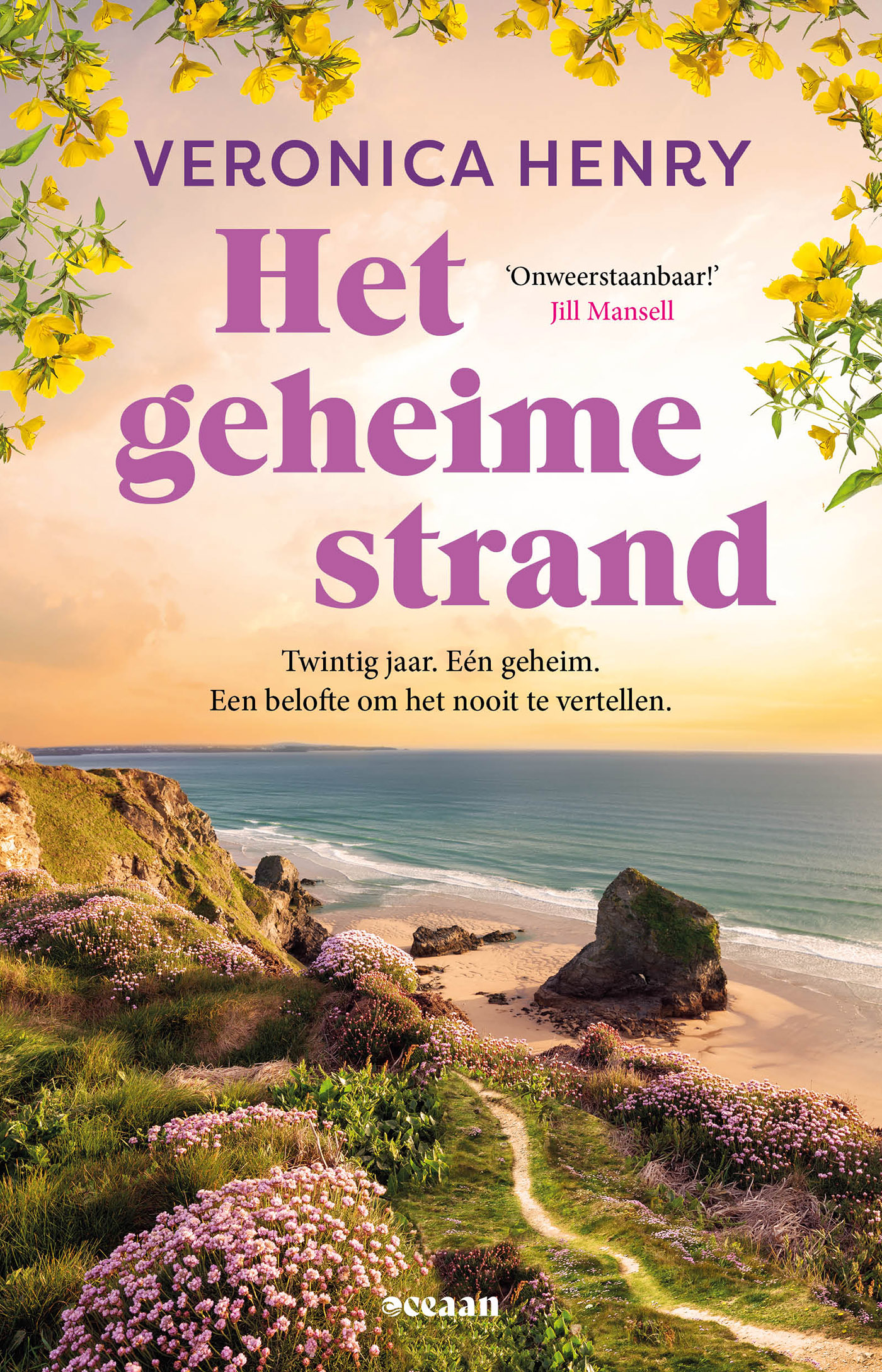 Omslag van Het geheime strand