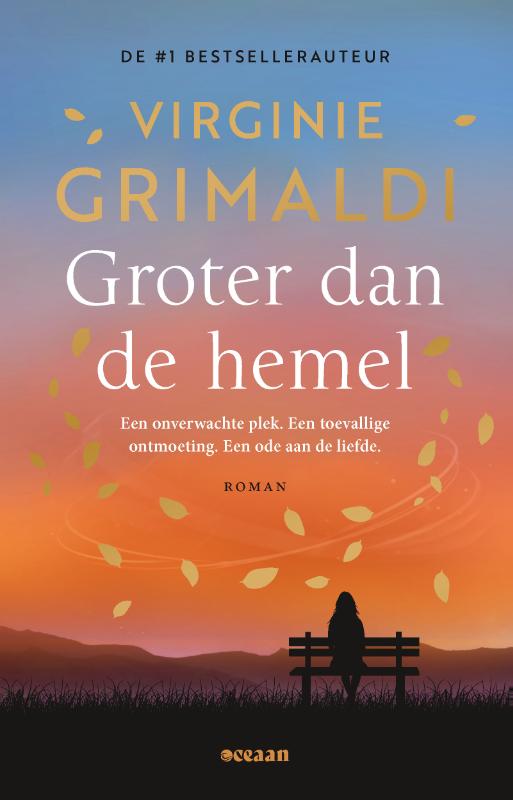 Omslag van Groter dan de hemel