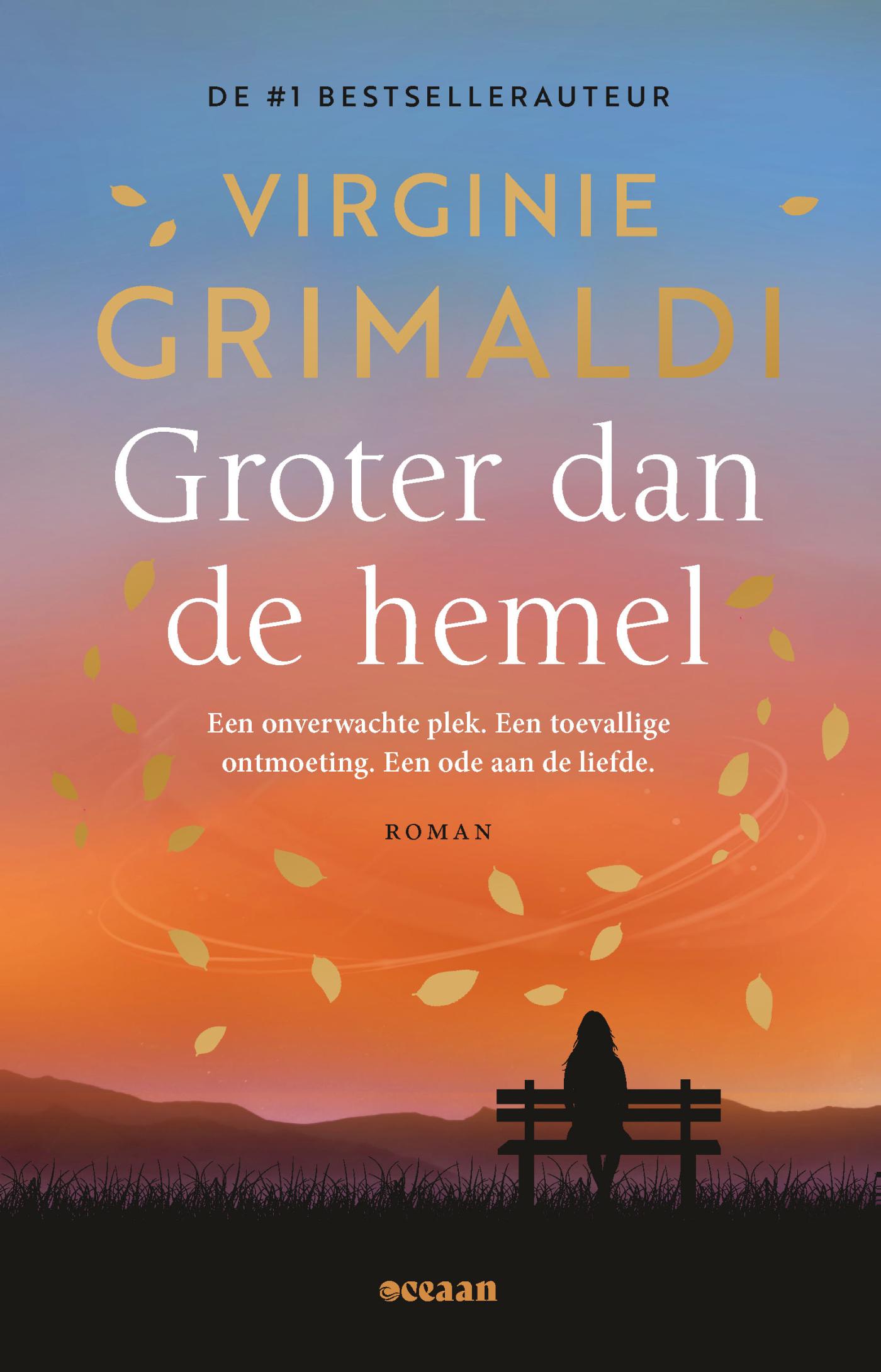 Omslag van Groter dan de hemel