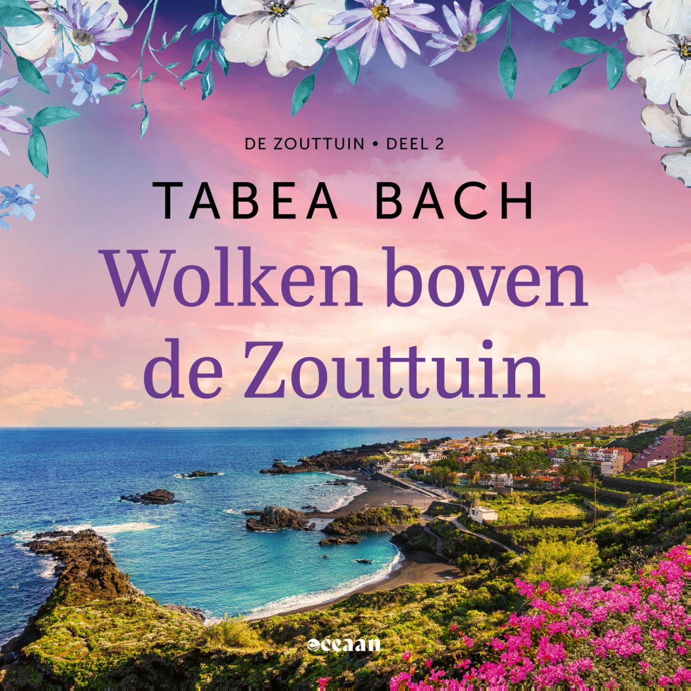 Omslag van Wolken boven de Zouttuin
