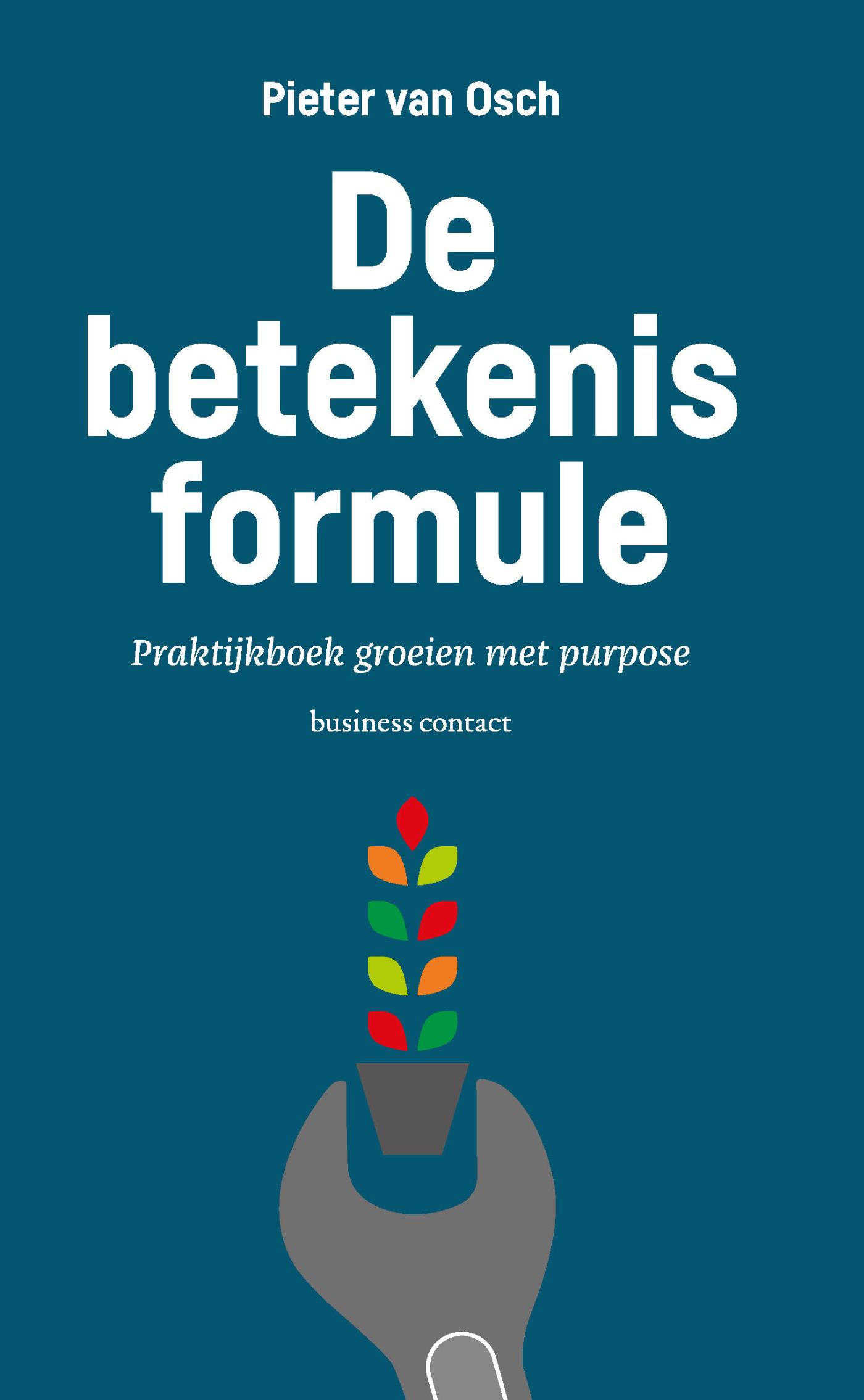 Omslag van De betekenisformule