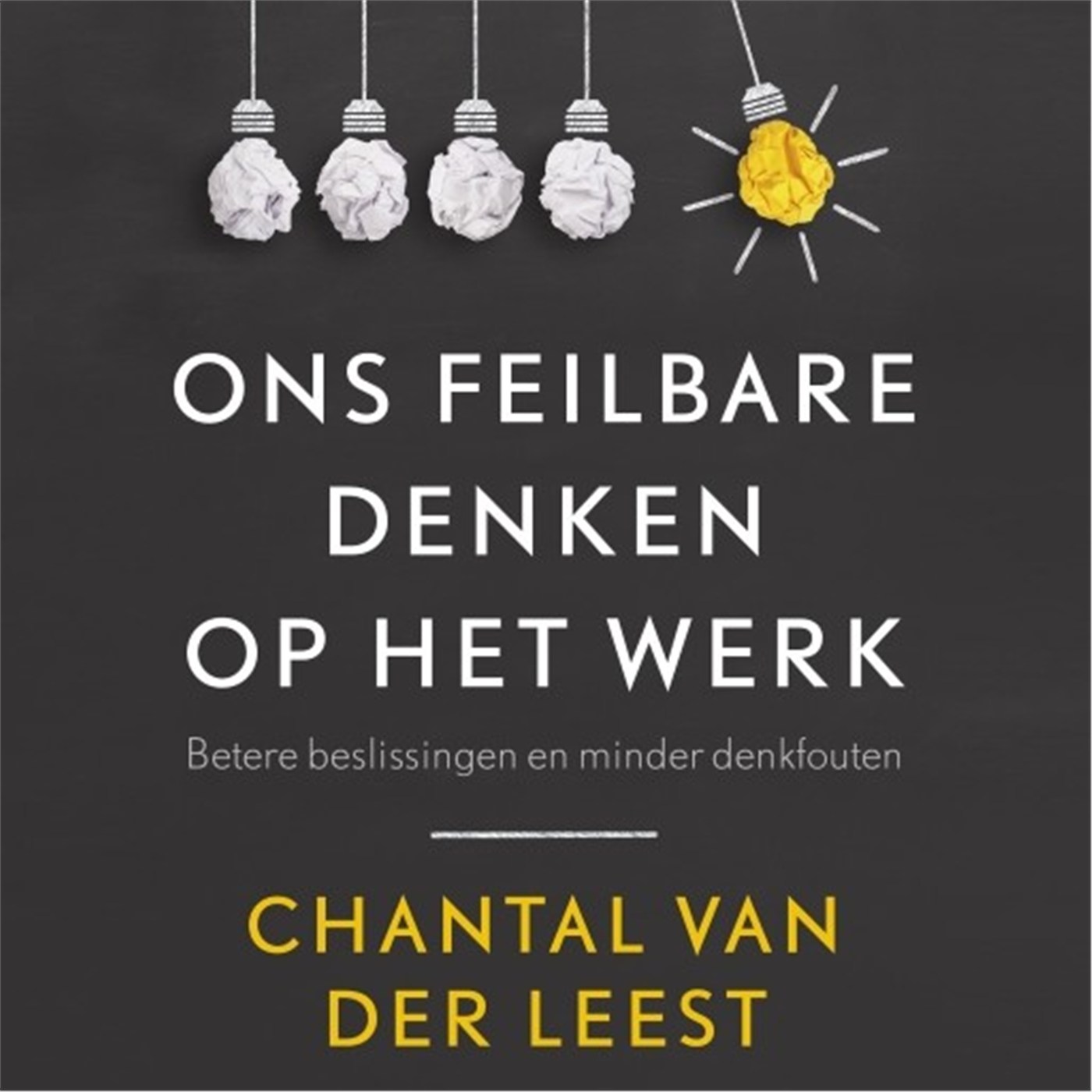 Omslag van Ons feilbare denken op het werk