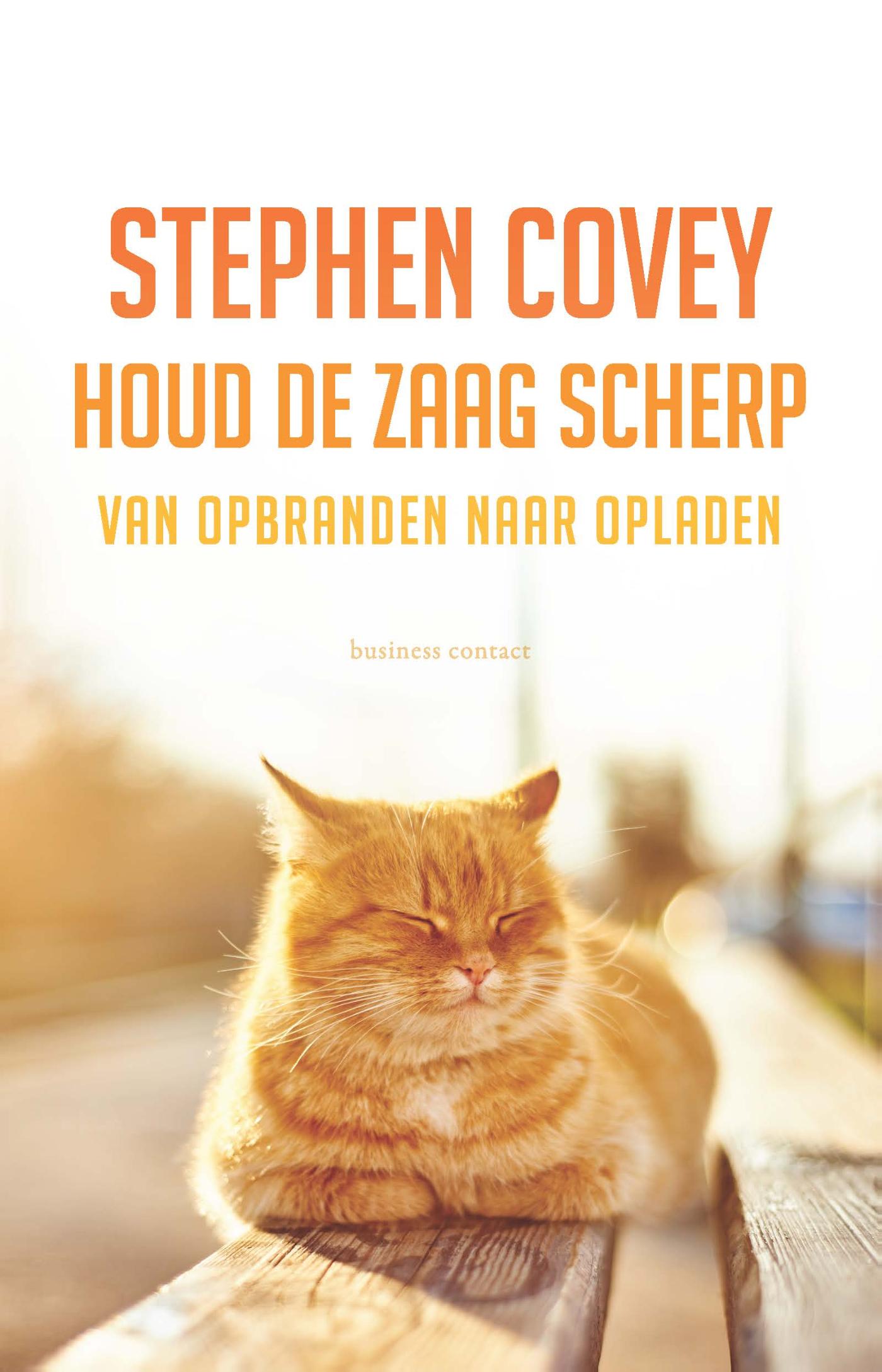 Omslag van Houd de zaag scherp